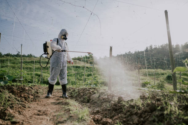 Best Mosquito Control Services  in Anamosa, IA