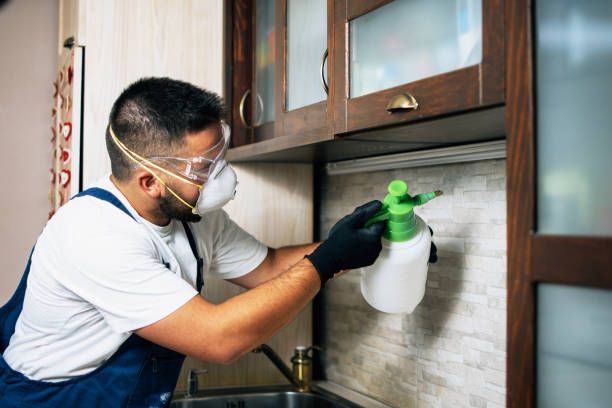  Anamosa, IA Pest Control Pros