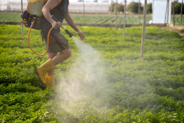 Reliable Anamosa, IA Pest Control Solutions