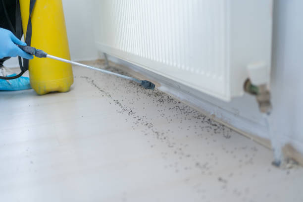 Best Commercial Pest Control Services  in Anamosa, IA